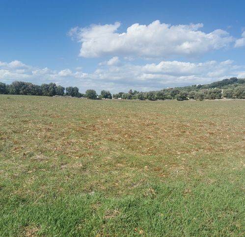Terreno a Brindisi in Contrada San Paolo - Foto 2