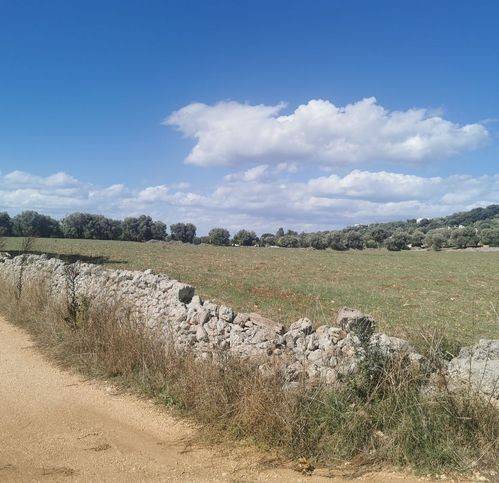 Terreno a Brindisi in Contrada San Paolo - Foto 4