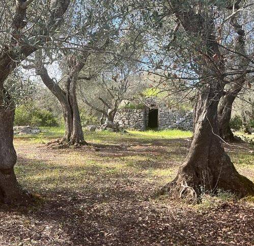 Terreno a Ostuni in Chiobbica - Foto 2