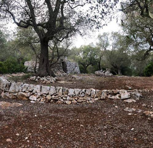 Terreno a Ostuni in Chiobbica - Foto 4