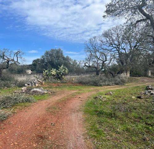 Terreno a Ostuni in Chiobbica - Foto 5
