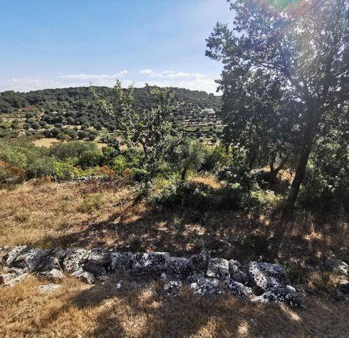 Rustico / casale a Ostuni in Contrada Cavallerizza - Foto 2