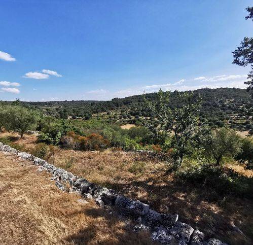 Rustico / casale a Ostuni in Contrada Cavallerizza - Foto 3