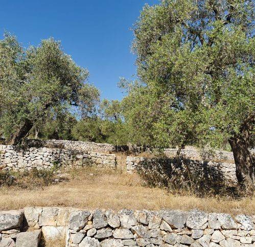 Rustico / casale a Ostuni in Contrada Cavallerizza - Foto 4