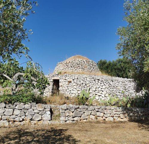 Rustico / casale a Ostuni in Contrada Cavallerizza - Foto 5