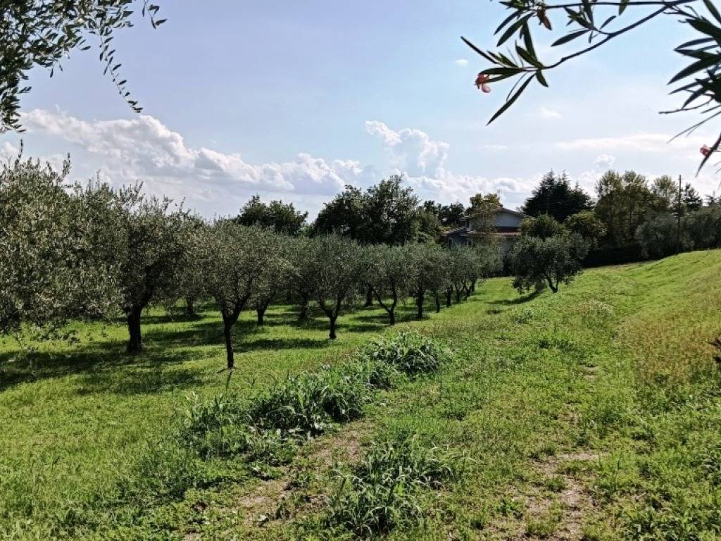 Terreno a Costermano sul garda - Foto 2