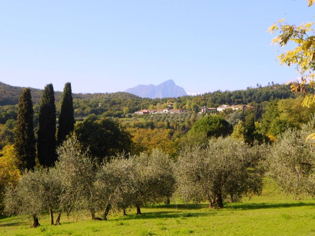 Terreno a Costermano sul garda - Foto 4