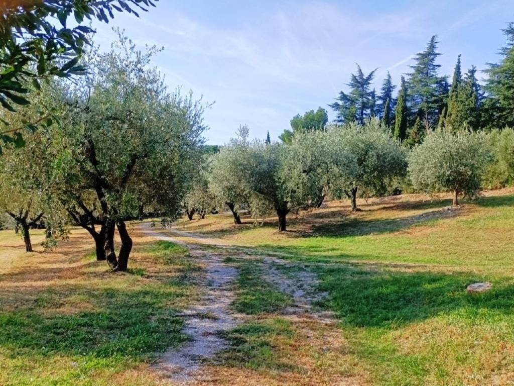 Terreno a Costermano sul garda - Foto 5