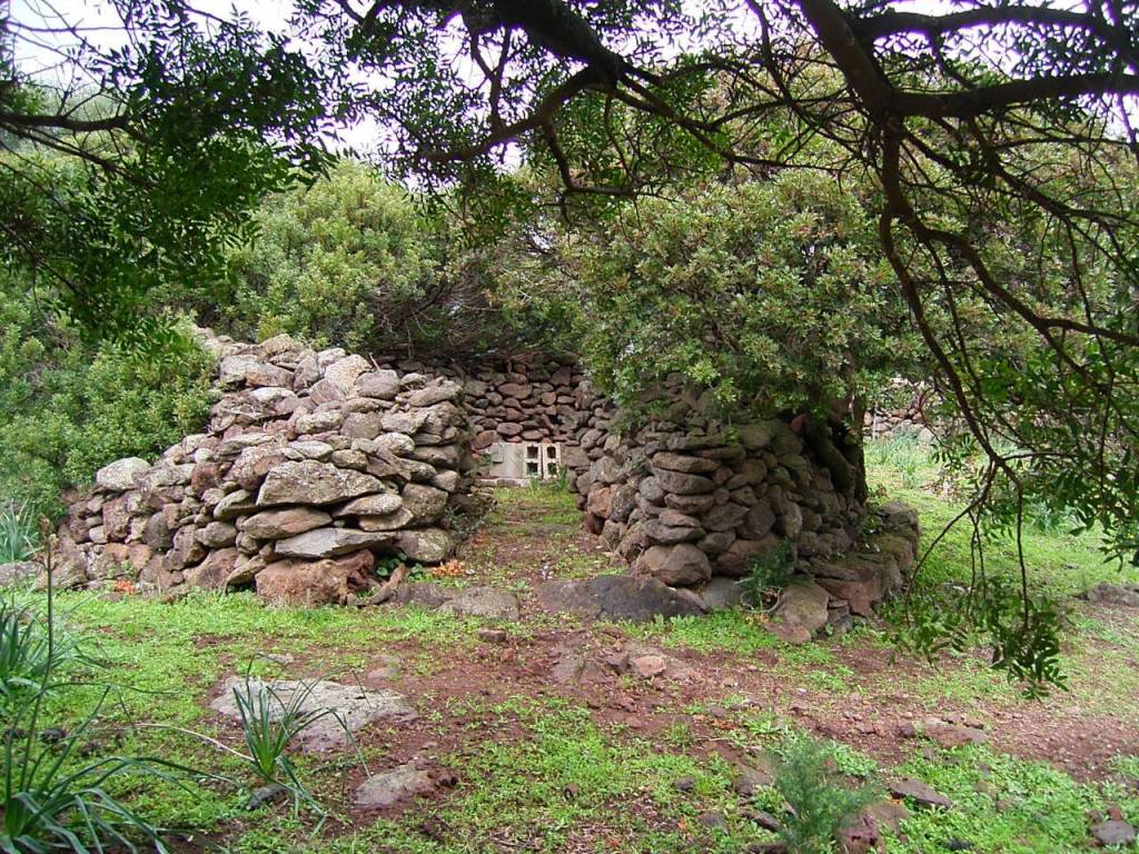 Terreno a Orosei in Strada Statale 125 Orientale Sarda - Foto 3