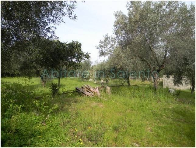 Terreno a Morciano di leuca - Foto 2