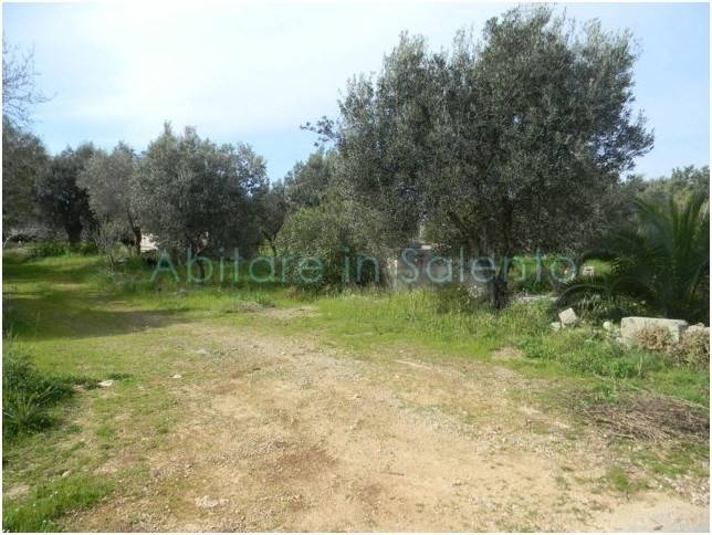 Terreno a Morciano di leuca - Foto 3