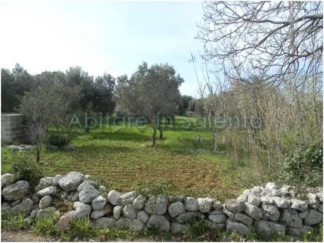 Terreno a Morciano di leuca - Foto 4