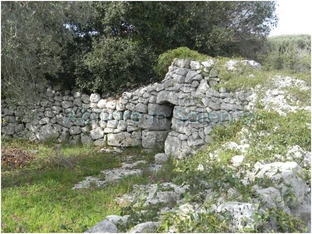 Terreno a Morciano di leuca - Foto 5