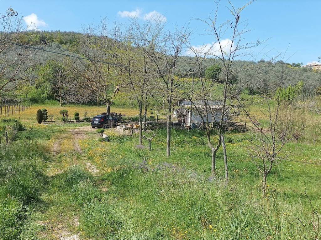 Terreno a Loreto aprutino - Foto 2