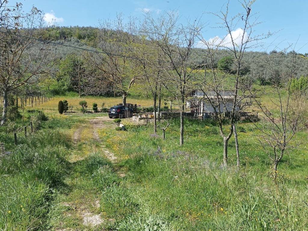 Terreno a Loreto aprutino - Foto 3