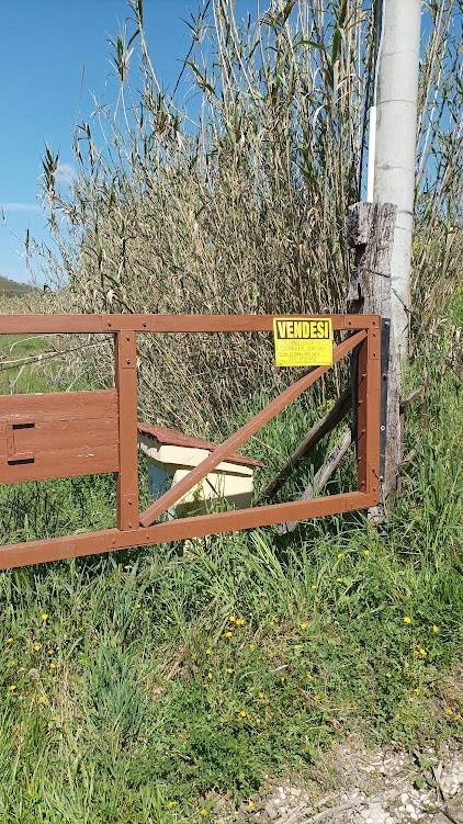 Terreno a Loreto aprutino - Foto 4