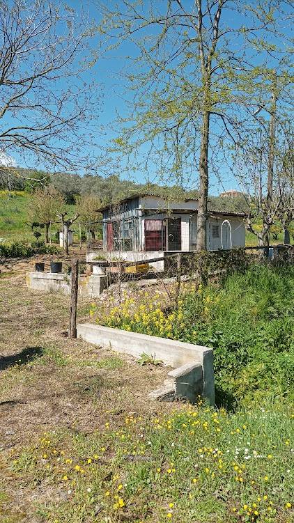 Terreno a Loreto aprutino - Foto 5