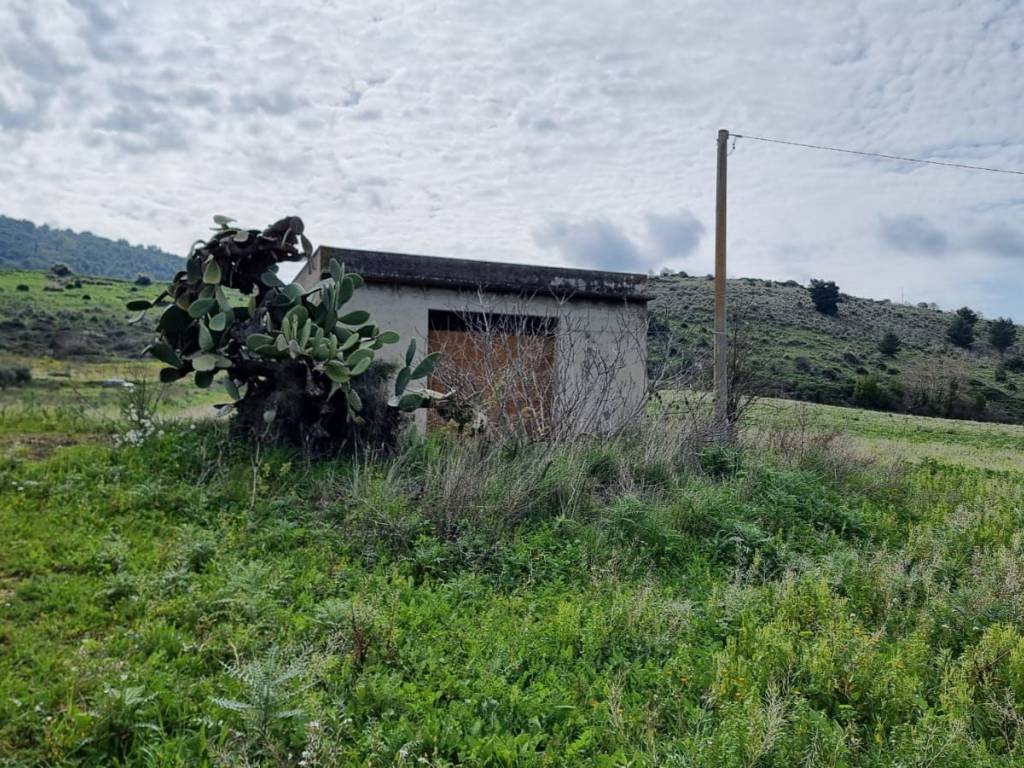 Terreno a Sambuca di sicilia in Contrada Cellaro - Foto 2