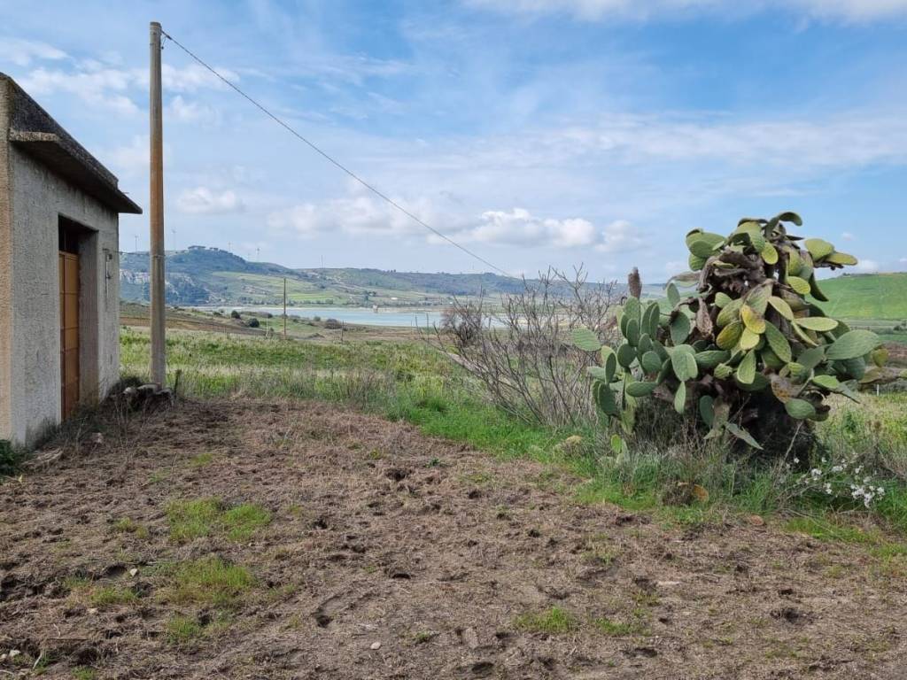 Terreno a Sambuca di sicilia in Contrada Cellaro - Foto 4