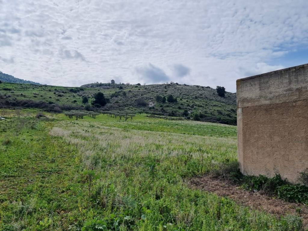 Terreno a Sambuca di sicilia in Contrada Cellaro - Foto 5