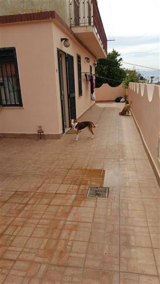 Appartamento a Messina - Foto 3