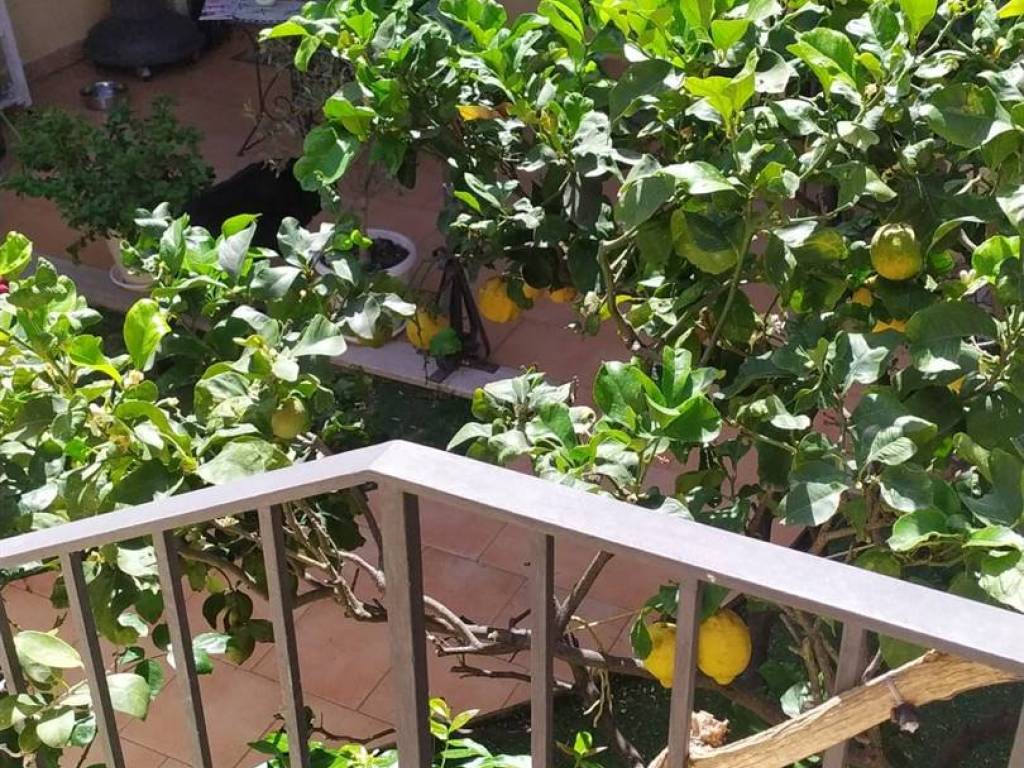 Villa a Messina - Foto 5