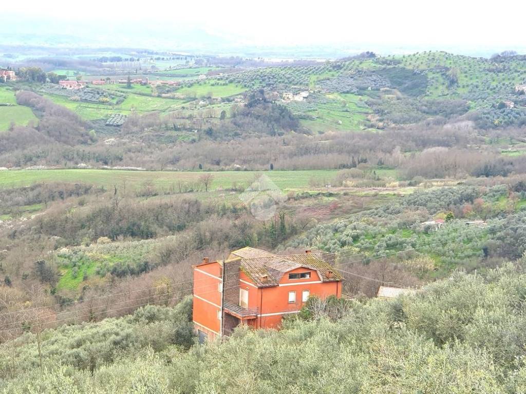 Villa a Paliano in Contrada Forcella - Foto 2