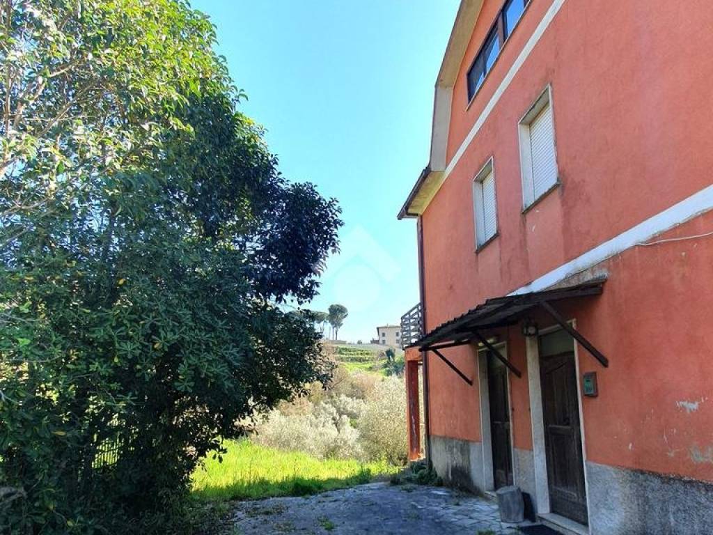 Villa a Paliano in Contrada Forcella - Foto 3