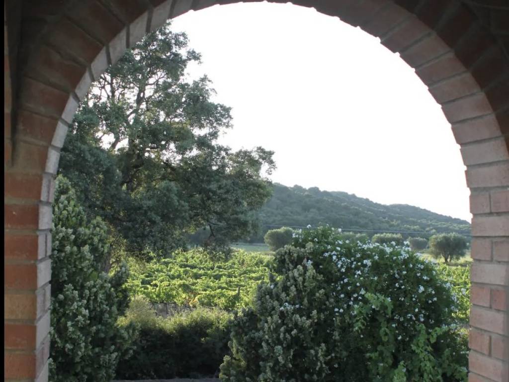 Villa a Monte argentario in Via Italia - Foto 2