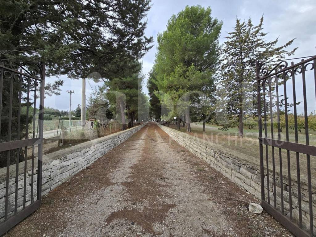 Villa a Andria in Viale san Giuseppe, snc - Foto 2