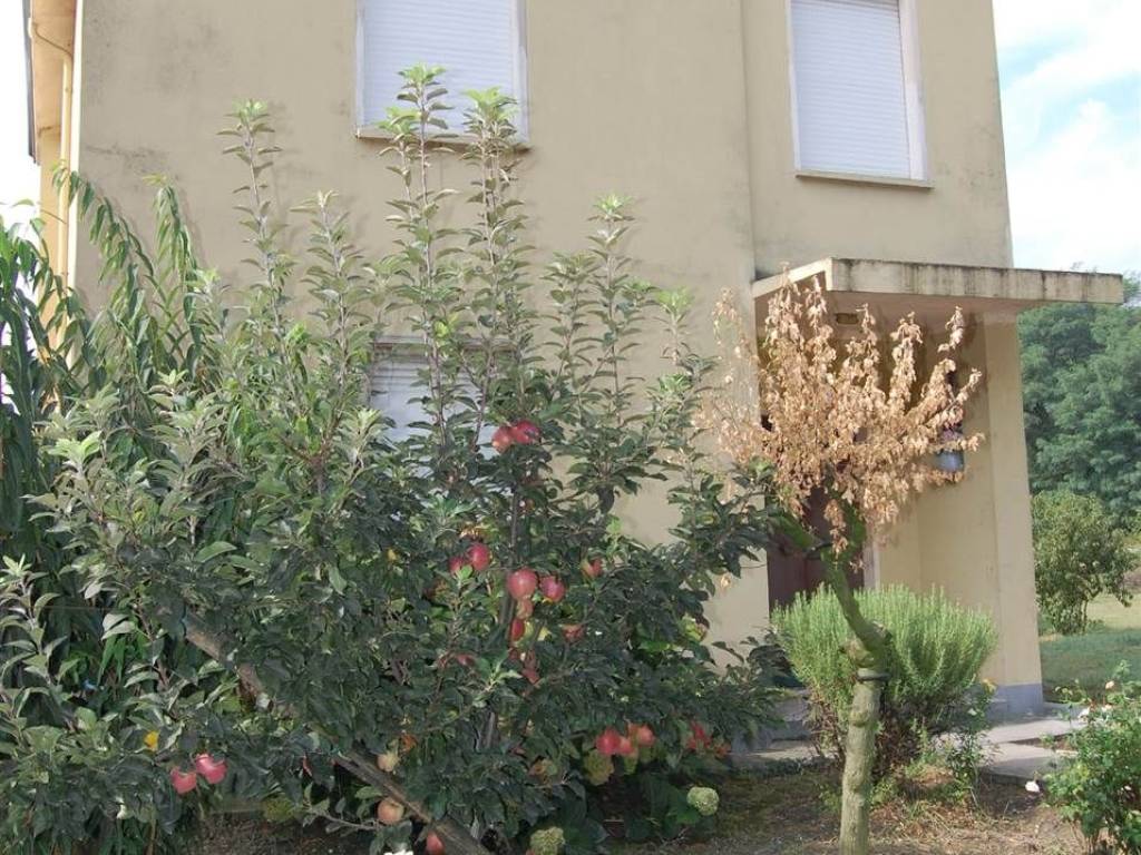 Casa indipendente a Quistello - Foto 3