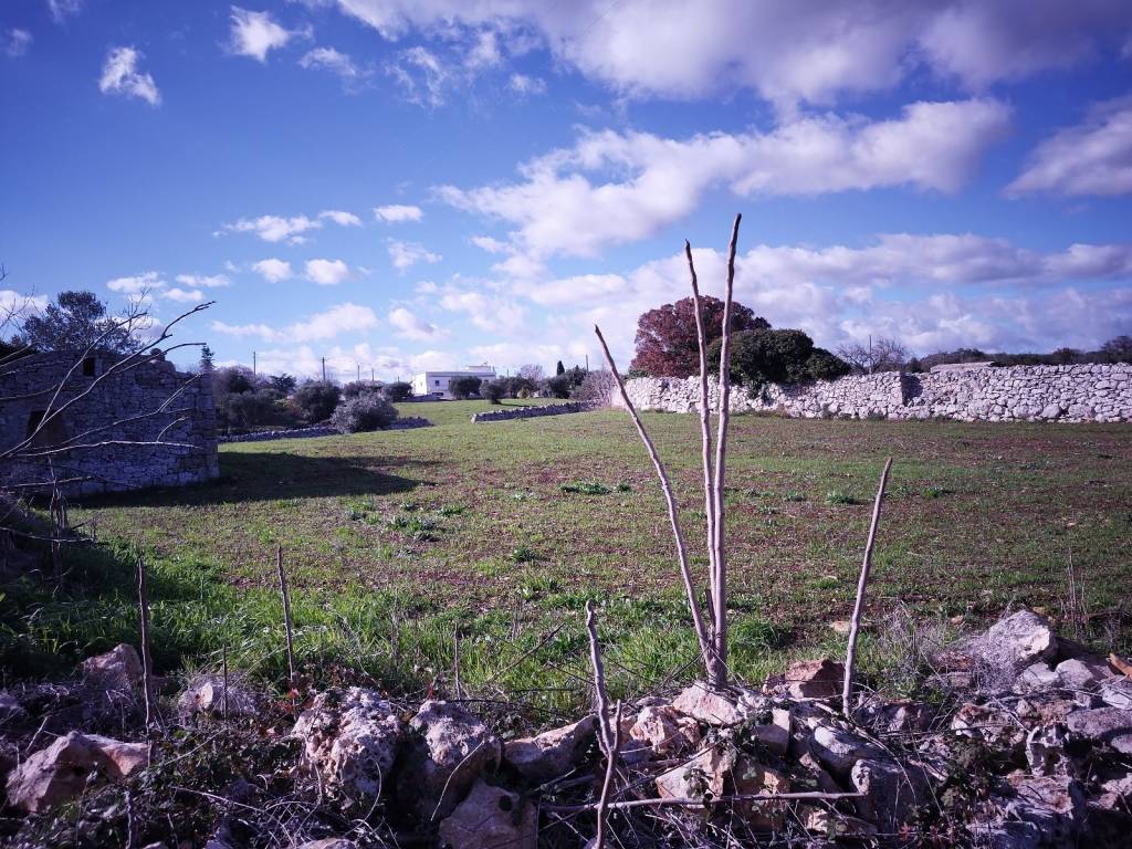 Rustico / casale a Martina franca in C.da Capo di Gallo - Foto 4
