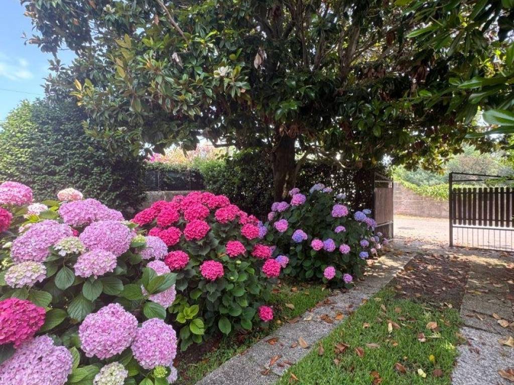 Villa a San felice circeo in Via dei Caprioli - Foto 5