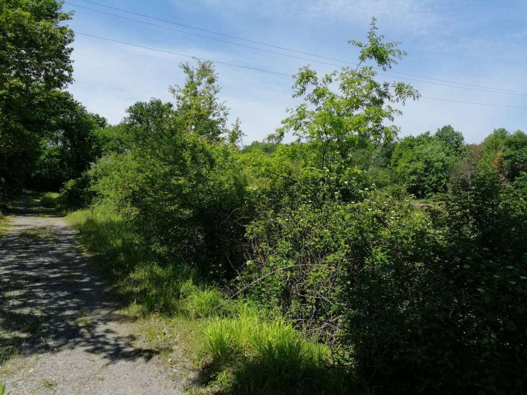 Terreno a Fucecchio in Via Francigena - Foto 3