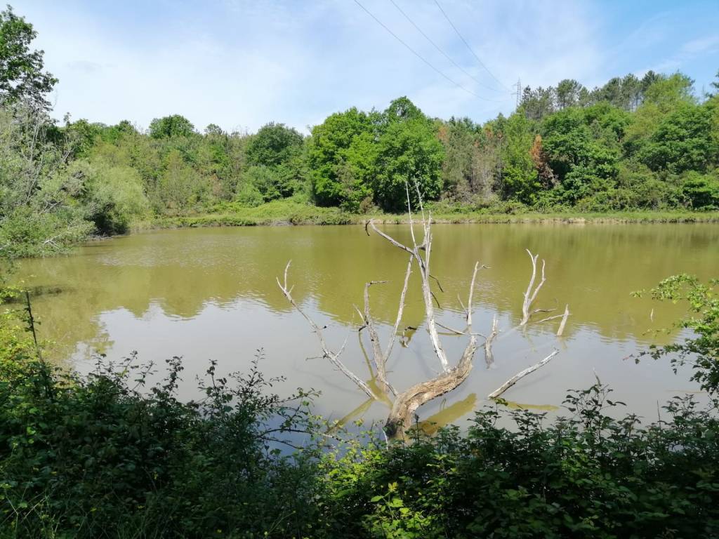 Terreno a Fucecchio in Via Francigena - Foto 4