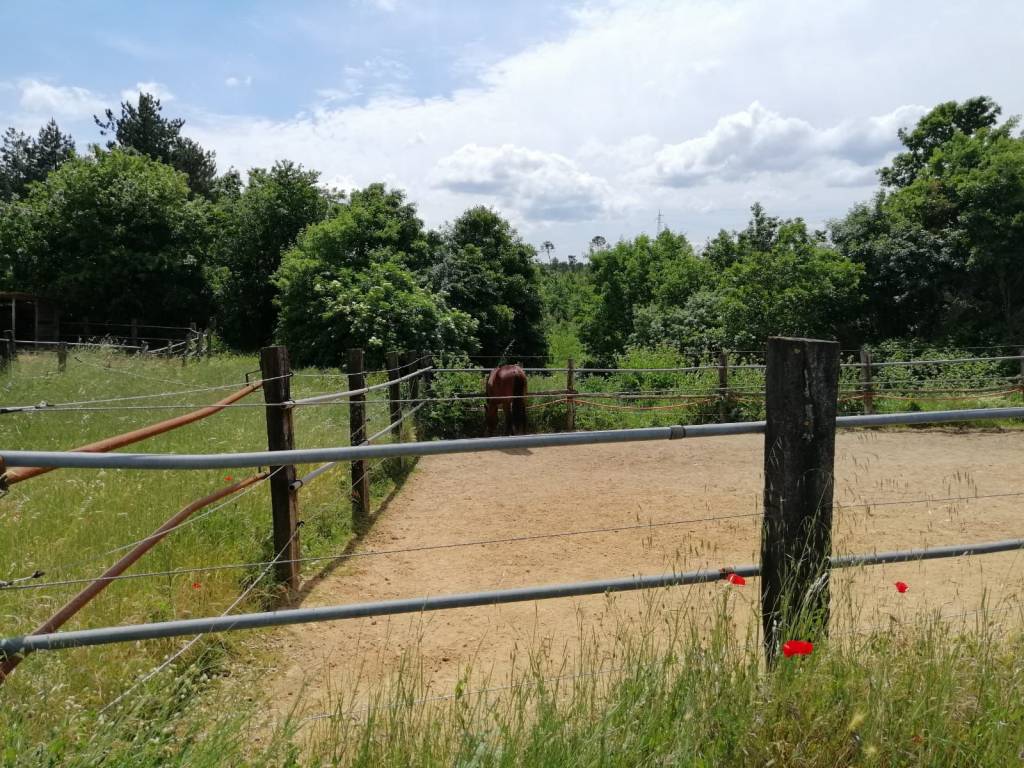 Terreno a Fucecchio in Via Francigena - Foto 5