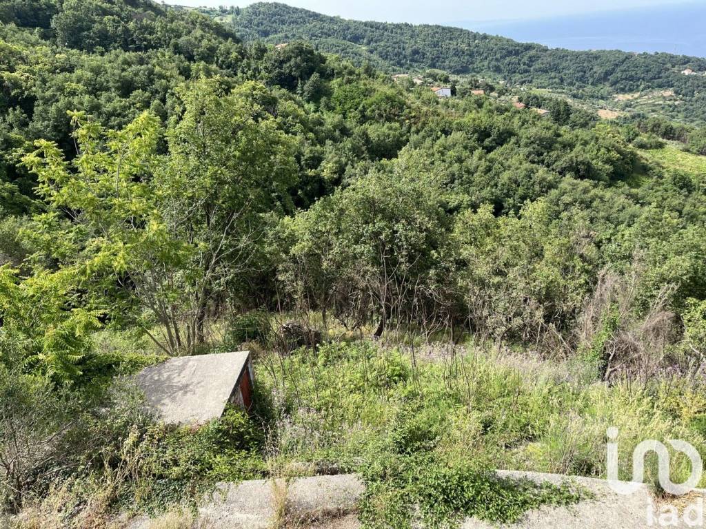 Casa indipendente a Longobardi in Località Fiorino 1 - Foto 4