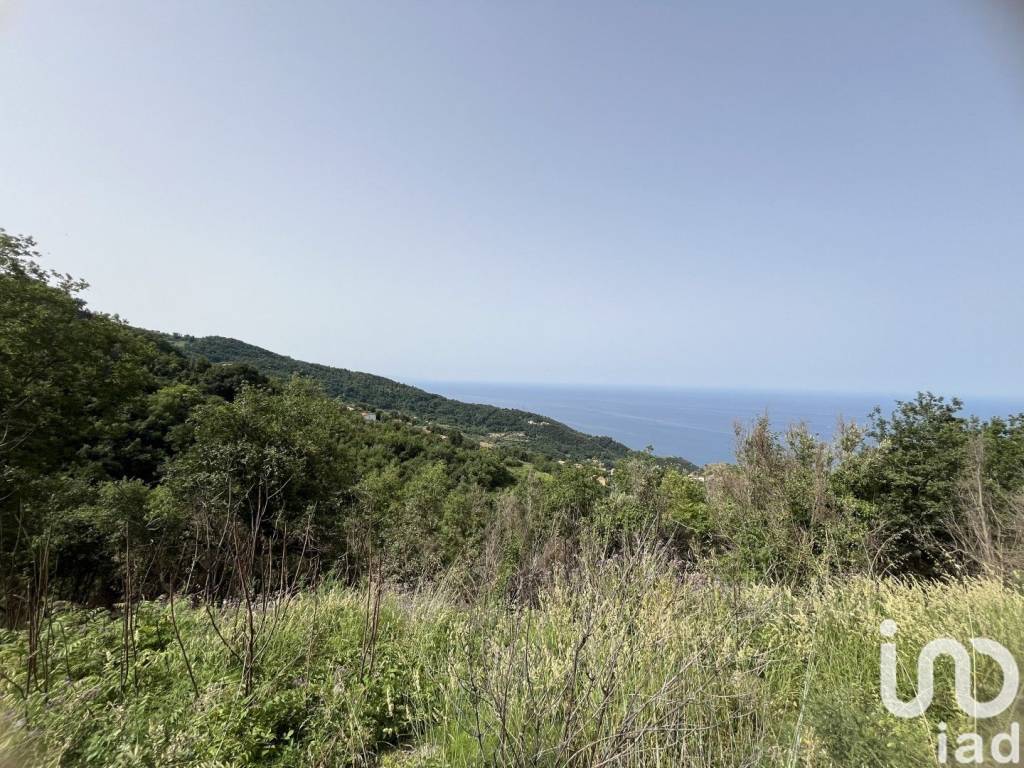 Casa indipendente a Longobardi in Località Fiorino 1 - Foto 5