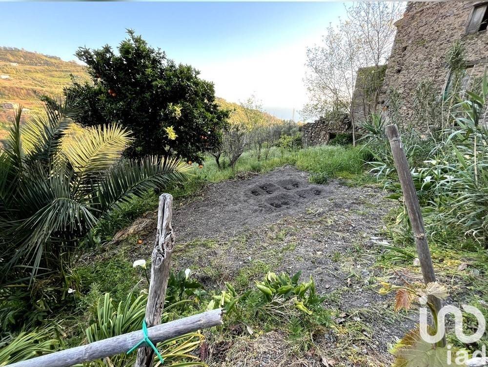 Appartamento a Longobardi in Piazza Giuseppe Garibaldi, 19 - Foto 2