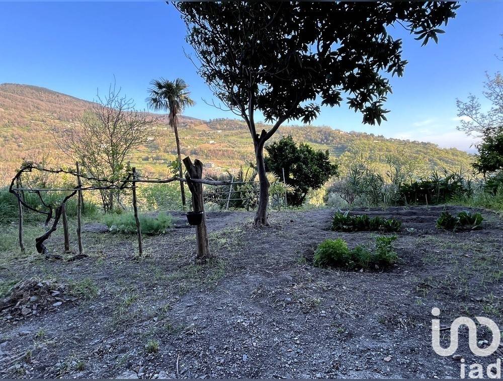 Appartamento a Longobardi in Piazza Giuseppe Garibaldi, 19 - Foto 3