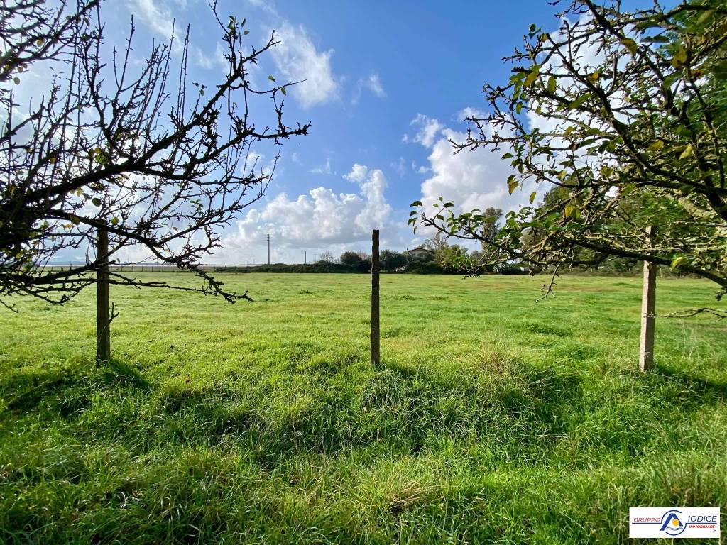 Rustico / casale a Sabaudia in strada Migliara 49 - Foto 4