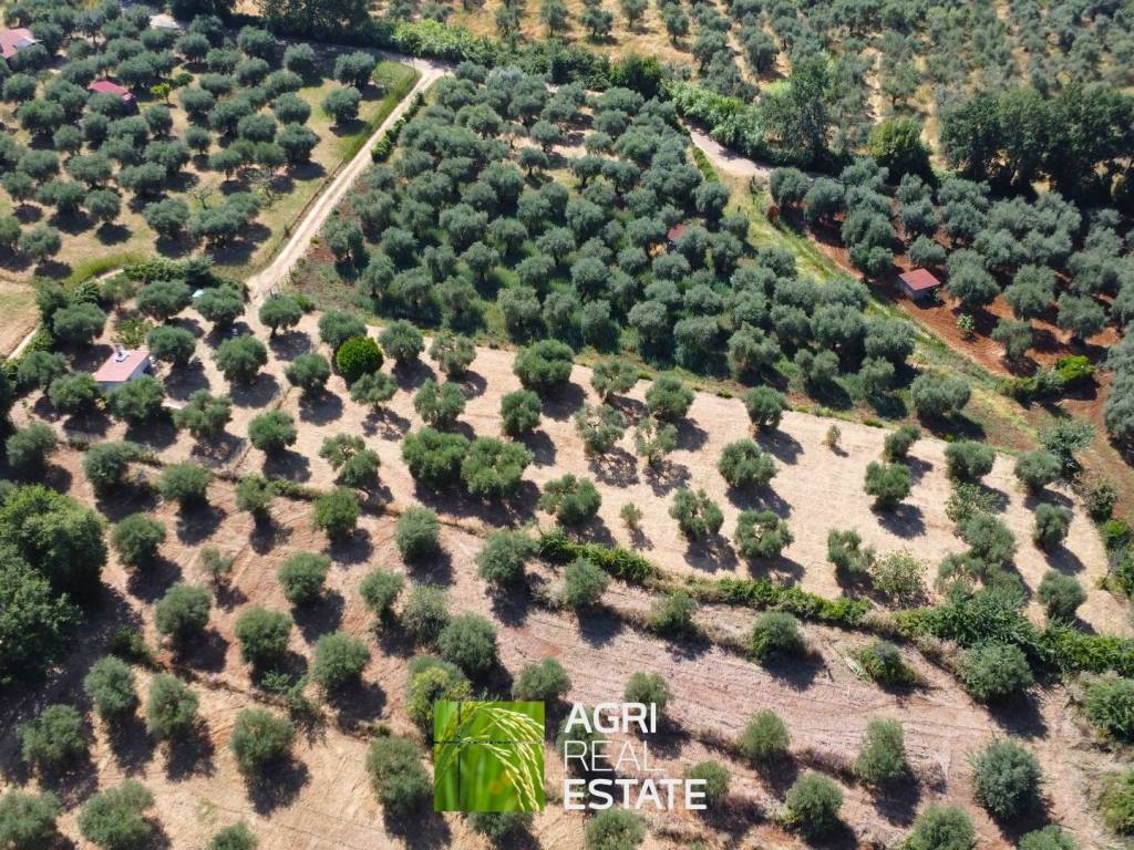 Terreno a Sermoneta in Via delle Querce - Foto 2