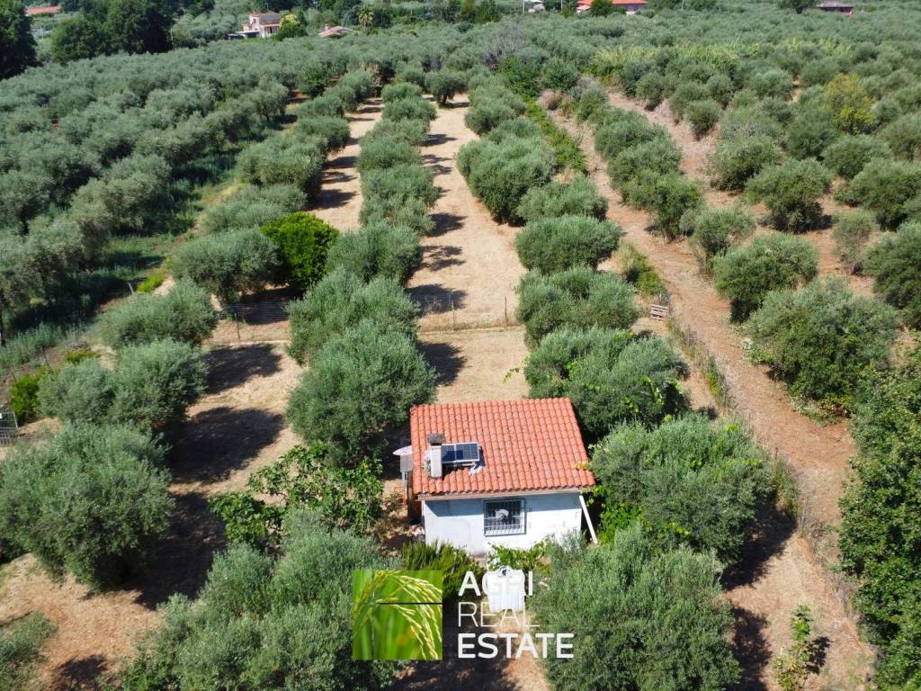 Terreno a Sermoneta in Via delle Querce - Foto 3