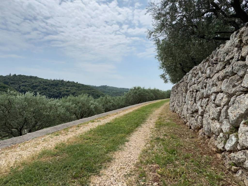 Terreno a Verona in Via Vincenzo Benini - Foto 2