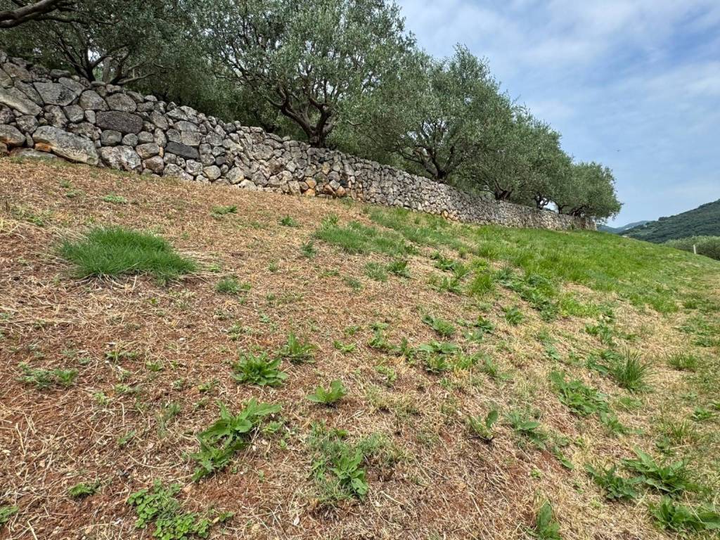 Terreno a Verona in Via Vincenzo Benini - Foto 5