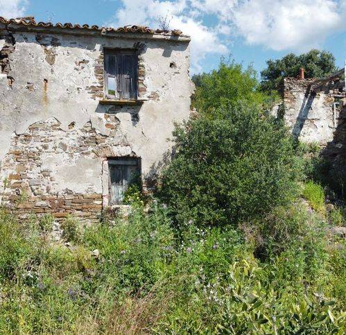 Rustico / casale a Pollica in Zona Lago - Foto 5