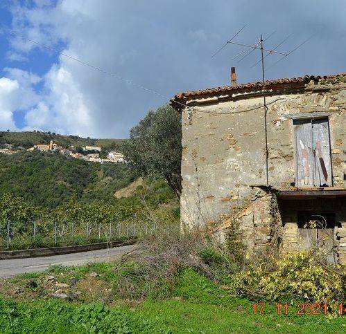 Rustico / casale a Pollica in Loc. Curto - Foto 4