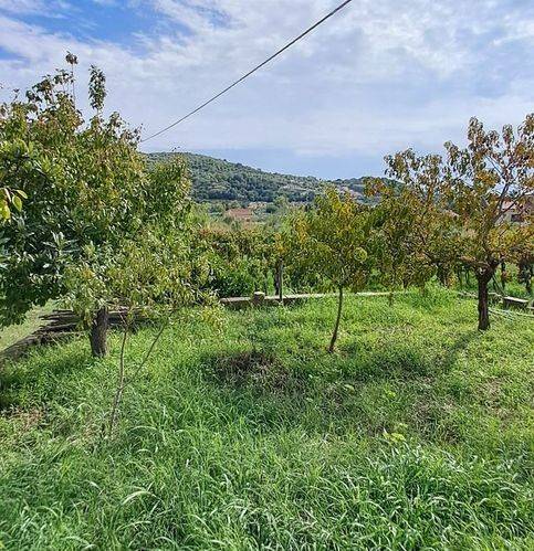 Villa a Ascea in Piano Del Pero - Foto 5