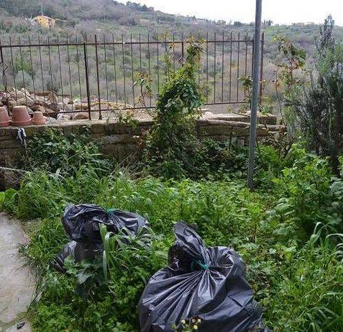 Appartamento a Pollica in Sp15D - Foto 3