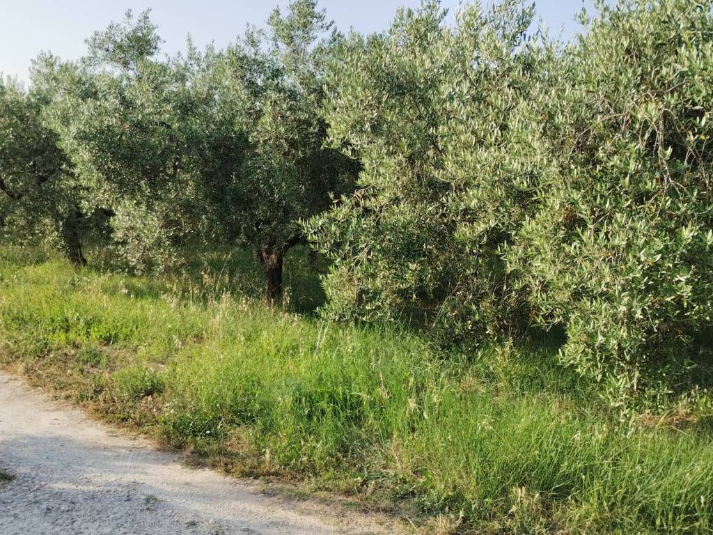 Terreno a Ortona in Via Civiltà del Lavoro - Foto 4